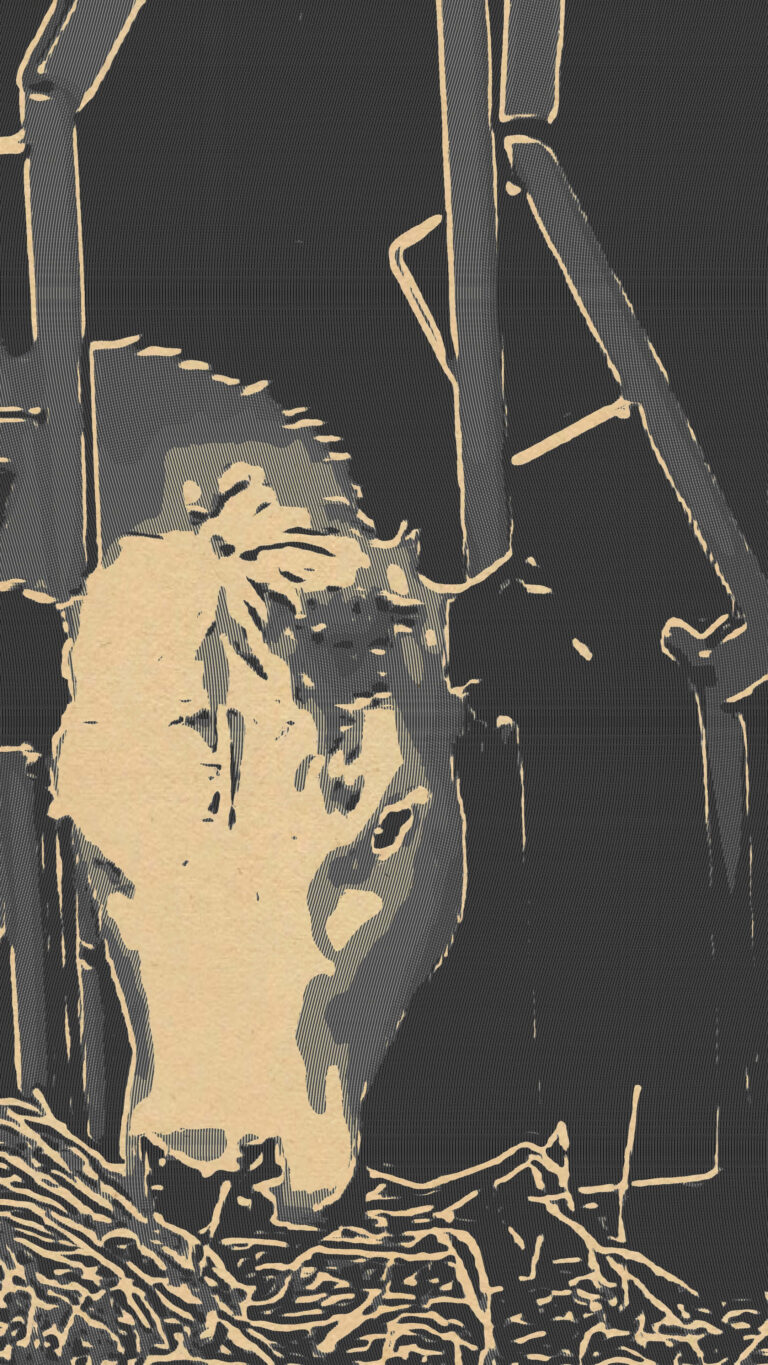 Mastery Is Not Perfection: A New Way to Measure a Life